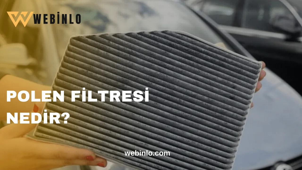 Polen Filtresi Nedir?